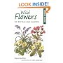 Green Guide to Wild Flowers of Britain and Europe (Green Guides)