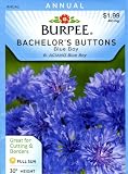 Burpee 40742 Bachelor's Buttons Blue Boy Seed Packet