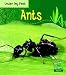 Ants  (Read and Learn: Under My Feet) (Read and Learn: Under My Feet)