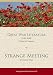 Great War Literature Study Guide on "Strange Meeting"
