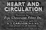 The Heart and Circulation (1937) [DVD]