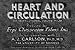 The Heart and Circulation (1937) [DVD]