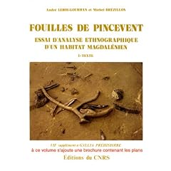 Fouilles de Pincevent, 2 volumes, 1983 : Essai d'analyse ethnographique d'un habitat magdal�nien
