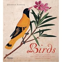 Birds: The Art Of Ornithology