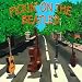 Pickin' on the Beatles