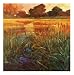 Golden Creek by Philip Craig. PLAQUE MOUNTED. 35.75 inches width by 35.69 inches height. Highest Quality Art Poster Print