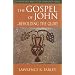 The Gospel of John: Beholding the Glory (The Orthodox Bible Study Companion)