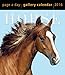 Horse Page-A-Day Gallery Calendar 2016