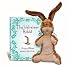 The Velveteen Rabbit Gift Set: Hardcover book and plush package