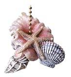 Beach Starfish Sea Shells Conch Ceiling Fan Pull Chain