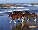 Budweiser (Clydesdales on the Beach) White Wood-Mounted Art Poster Print - 22" X 28"