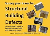 Survey Your Home for Structural Building Defects: For Homeowners, Property Developers, Professionals and Property Purchasers