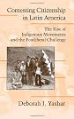 Contesting Citizenship in Latin America: The Rise of Indigenous Movements and the Postliberal Challenge (Cambridge Studies in Contentious Politics)