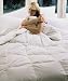 5151eUpY kL. SL75  Feng Shui And Color   Balancing Yin Yang Energies In The Home