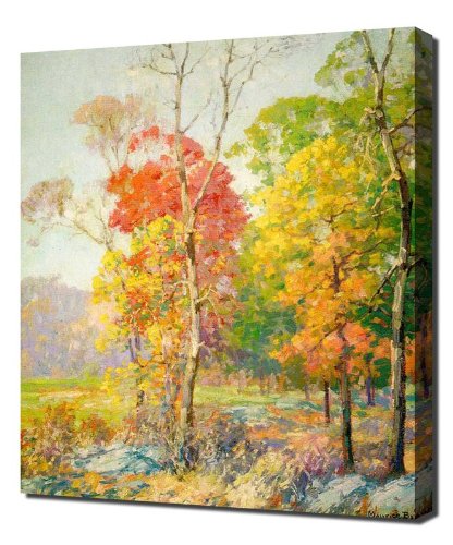 United States - Braun Maurice American 854 - Riproduzione di foto artistiche su tela - 30cm x 40cm