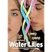 Water Lilies
