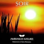 Ambiance Nature Soir