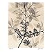 Judith McMillan American Elm Art Print Poster - 12x16 custom fit with RichAndFramous Black 12 inch Poster Hangers