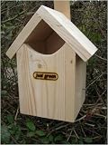WREN NEST