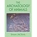 In Connecion with Archaeology!