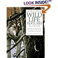 Painting Wildlife Textures Step by Step