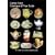 Carlton Ware Catalogue and Price Guide