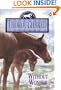 Without Wonder (Thoroughbred)