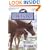 Without Wonder (Thoroughbred)
