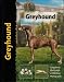 Greyhound (Pet Love)