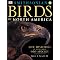 My favorite nature references (In no order)