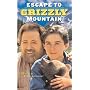Escape To Grizzly Mountain