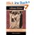 Is Taiwan Chinese?: The Impact of Culture, Power, and Migration on Changing Identities (Berkeley Series in Interdisciplinary Studies of China)