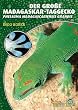 Der Gro�e Madagaskar Taggecko. Phelsuma madagascariensis grandis