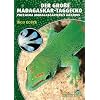 Der Gro�e Madagaskar Taggecko. Phelsuma madagascariensis grandis