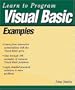 Learn to Program Visual Basic Examples (Miscellaneous)