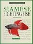 Siamese Fighting Fish