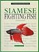 Siamese Fighting Fish