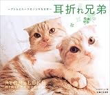 ���ޤ췻����ȥ�ȥ롼���ΥΥ󥭤�����