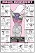 Bruce Algra's Fitnus Charts are world famous for their anatomical detailed and beautiful graphics! Back Workout includes:Eight detailed exercises illustrating the beginning and intermediate positions that target the back muscles for men and women. An incredible detailed center illustration highlights the back muscles.