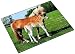 SCHREIBUNTERLAGE PFERD UND FOHLEN  46587