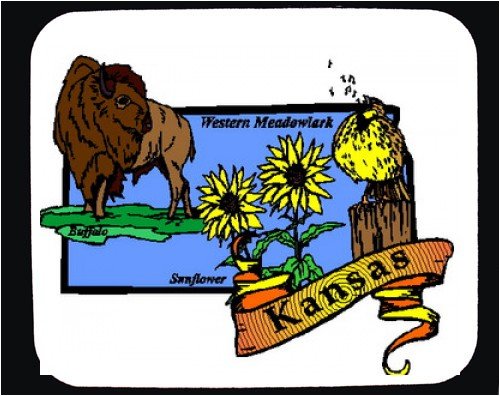 What Is Kansas State Flower. Buy Mouse Pad with Kansas,