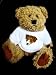 Teddy Bear with jack, dog, russell, terrier, canine t-shirt