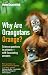 Why are Orangutans Orange? : Science puzzles in pictures - with fascinating answers