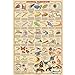 Toys : Animal Kingdom Poster