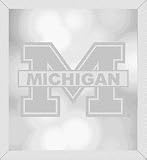 Michigan Wolverines Wall Mirror