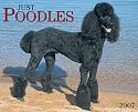 Just Poodles 2007 Calendar