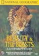 Beauty and the Beasts: A Leopard's Story [DVD]