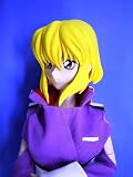 ACTION FIGURE COLLECTION ��ư��Υ������SEED DESTINY ���ƥ顦�롼����