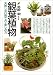 『観葉植物―失敗しない育て方・楽しみ方』の写真