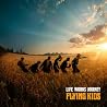 FLYING KIDSのアルバムの画像